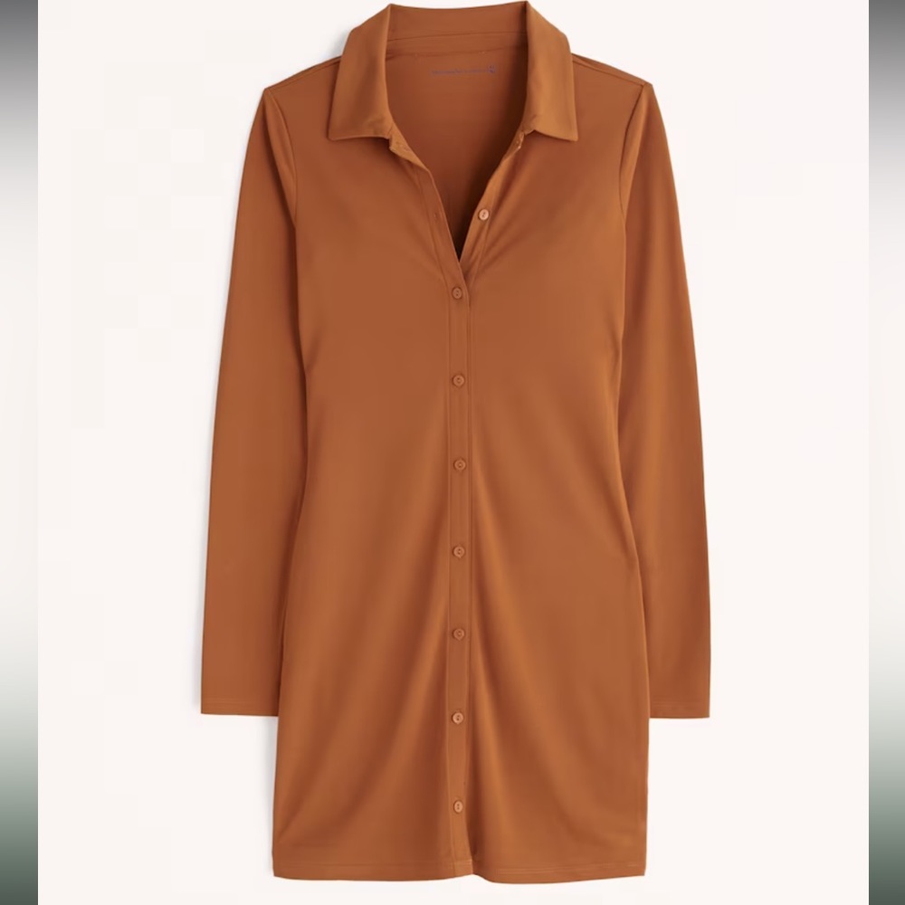 Abercrombie Burnt Orange Dress